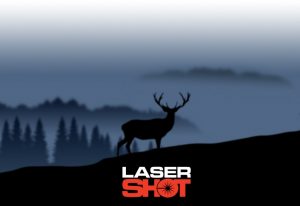 Picture of Laser Shot
